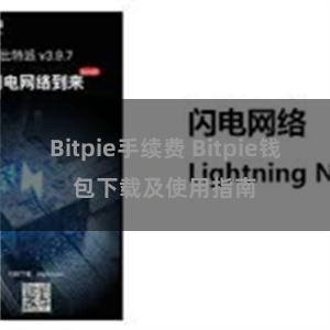 Bitpie手续费 Bitpie钱包下载及使用指南