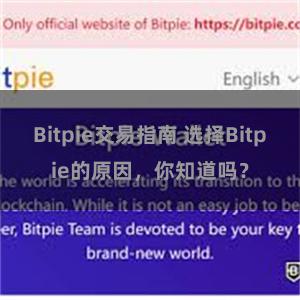 Bitpie交易指南 选择Bitpie的原因，你知道吗？