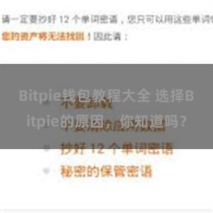 Bitpie钱包教程大全 选择Bitpie的原因，你知道吗？