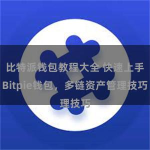 比特派钱包教程大全 快速上手Bitpie钱包，多链资产管理技巧