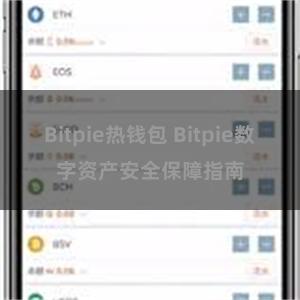 Bitpie热钱包 Bitpie数字资产安全保障指南